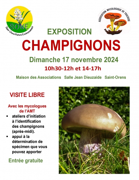 Affiche_expo_champignons_2024