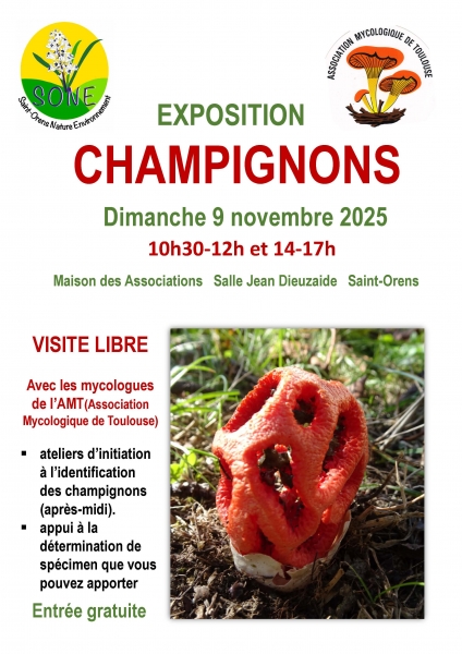 Affiche_exposition_champignons_2025